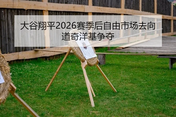 da-gu-xiang-ping-sai-ji-hou-zi-you-shi-chang-qu-xiang-dao-qi-yang-ji-zheng-duo-2-216.jpg