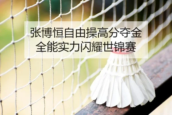 张博恒自由操高分夺金 全能实力闪耀世锦赛